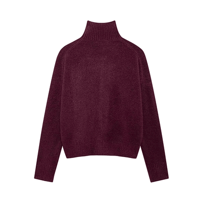 Soft Knit High-Neck Sweater in Burgundy