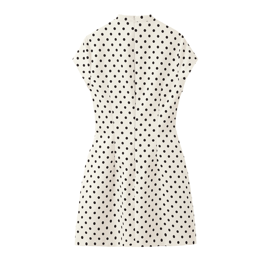 Polka Dot Mini Dress