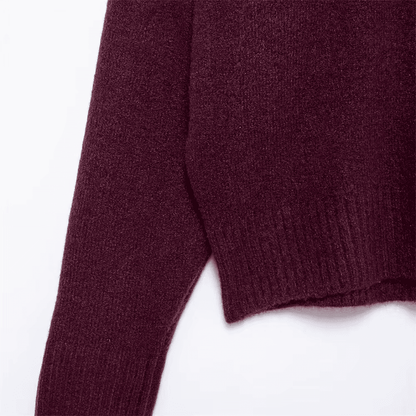 Soft Knit High-Neck Sweater in Burgundy